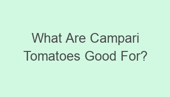 what are campari tomatoes good for 103370