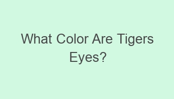 what color are tigers eyes 104170