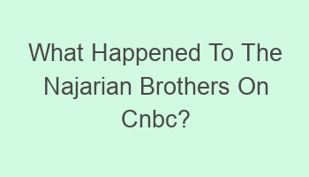 what happened to the najarian brothers on cnbc 102872