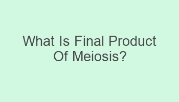 what is final product of meiosis 102817