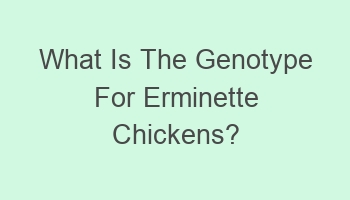 what is the genotype for erminette chickens 103367