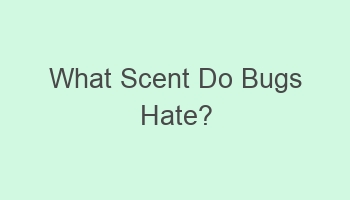 what scent do bugs hate 103848