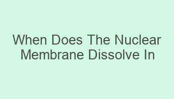 when does the nuclear membrane dissolve in mitosis 102798