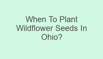 when to plant wildflower seeds in ohio 102650