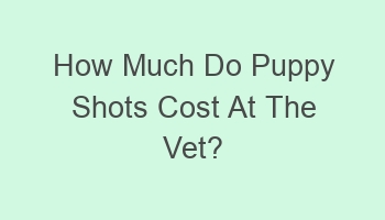 how much do puppy shots cost at the vet 104320