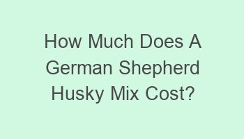 how much does a german shepherd husky mix cost 105030