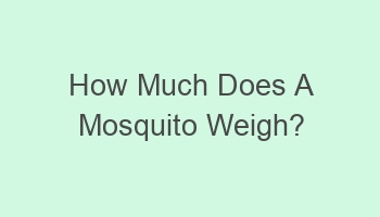 how much does a mosquito weigh 104421