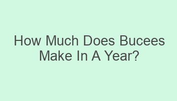 how much does bucees make in a year 104380