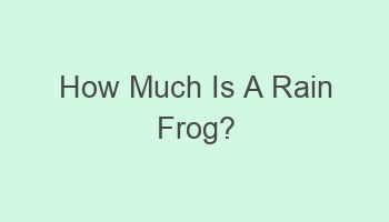 how much is a rain frog 104416