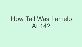 how tall was lamelo at 14 104931