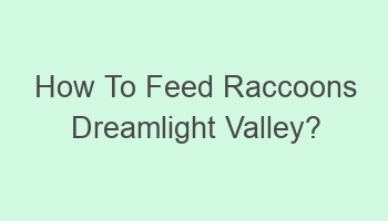 how to feed raccoons dreamlight valley 104501