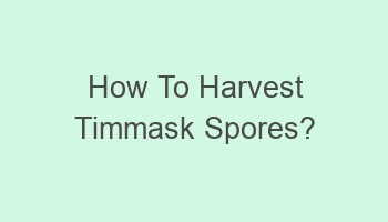 how to harvest timmask spores 105610