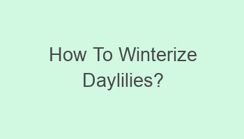 how to winterize daylilies 105128