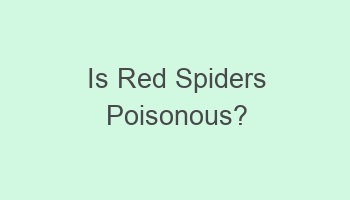 is red spiders poisonous 105552