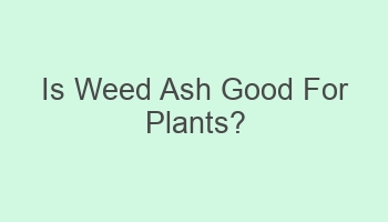 is weed ash good for plants 105668