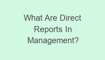 what are direct reports in management 104411