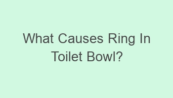 what causes ring in toilet bowl 104713