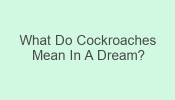 what do cockroaches mean in a dream 104972