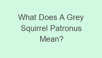 what does a grey squirrel patronus mean 105857