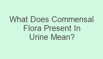 what does commensal flora present in urine mean 105669