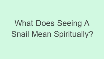 what does seeing a snail mean spiritually 104591