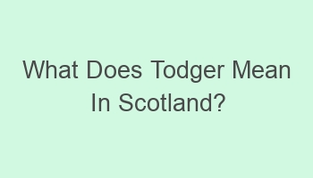 what does todger mean in scotland 105025