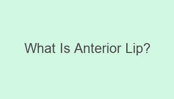 what is anterior lip 105185