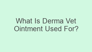 what is derma vet ointment used for 105535