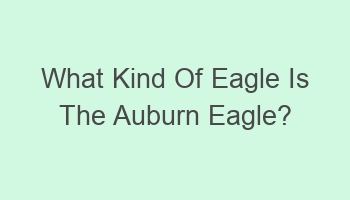 what kind of eagle is the auburn eagle 105174