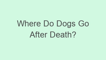 where do dogs go after death 104557