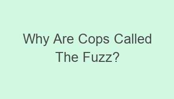 why are cops called the fuzz 104946