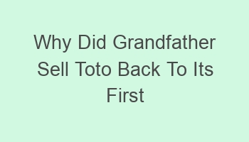 why did grandfather sell toto back to its first owner 105347