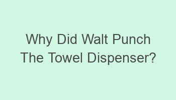 why did walt punch the towel dispenser 105210