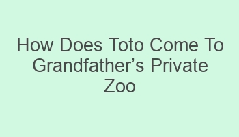 how does toto come to grandfathercabcs private zoo short answer 105913