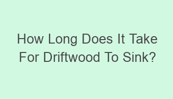 how long does it take for driftwood to sink 108354