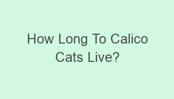 how long to calico cats live 106347