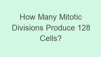 how many mitotic divisions produce 128 cells 107703