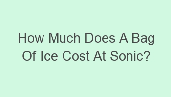 how much does a bag of ice cost at sonic 108690