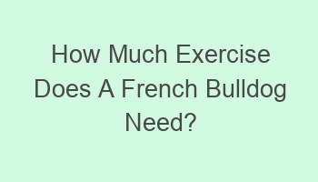 how much exercise does a french bulldog need 106828