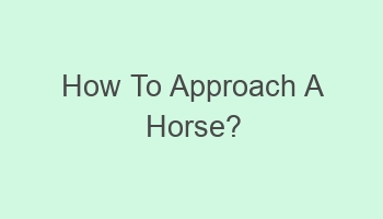 how to approach a horse 106511