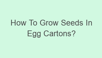 how to grow seeds in egg cartons 107531