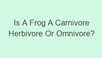 is a frog a carnivore herbivore or omnivore 106534