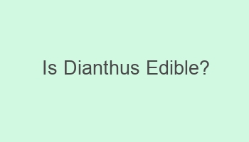 is dianthus edible 106199