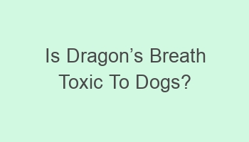 is dragoncabcs breath toxic to dogs 106355