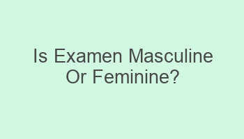 is examen masculine or feminine 106978