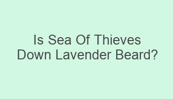 is sea of thieves down lavender beard 108124