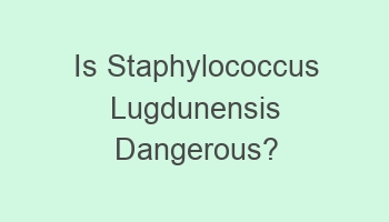 is staphylococcus lugdunensis dangerous 107995