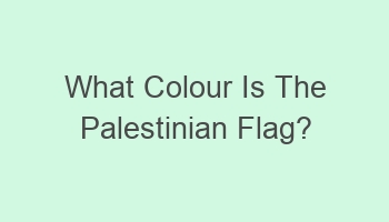 what colour is the palestinian flag 108780