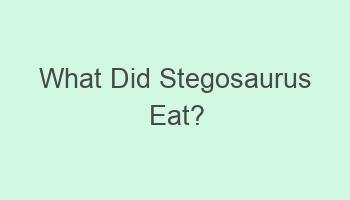 what did stegosaurus eat 106206