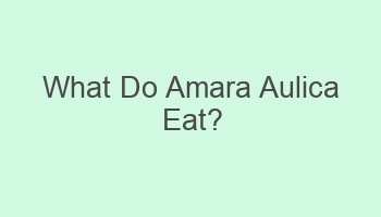 what do amara aulica eat 108233